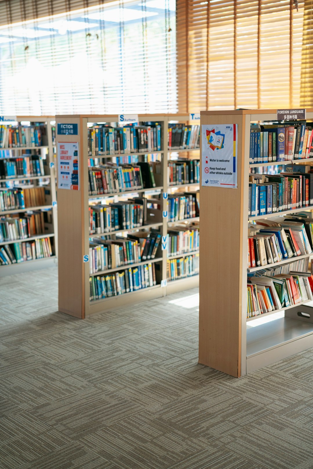 A bright and inviting library space at the Western International School of Shanghai, showcasing neatly arranged bookshelves filled with colorful books. Natural light pours in through large windows, creating a warm atmosphere for reading and learning. Photo by George Dagerotip.